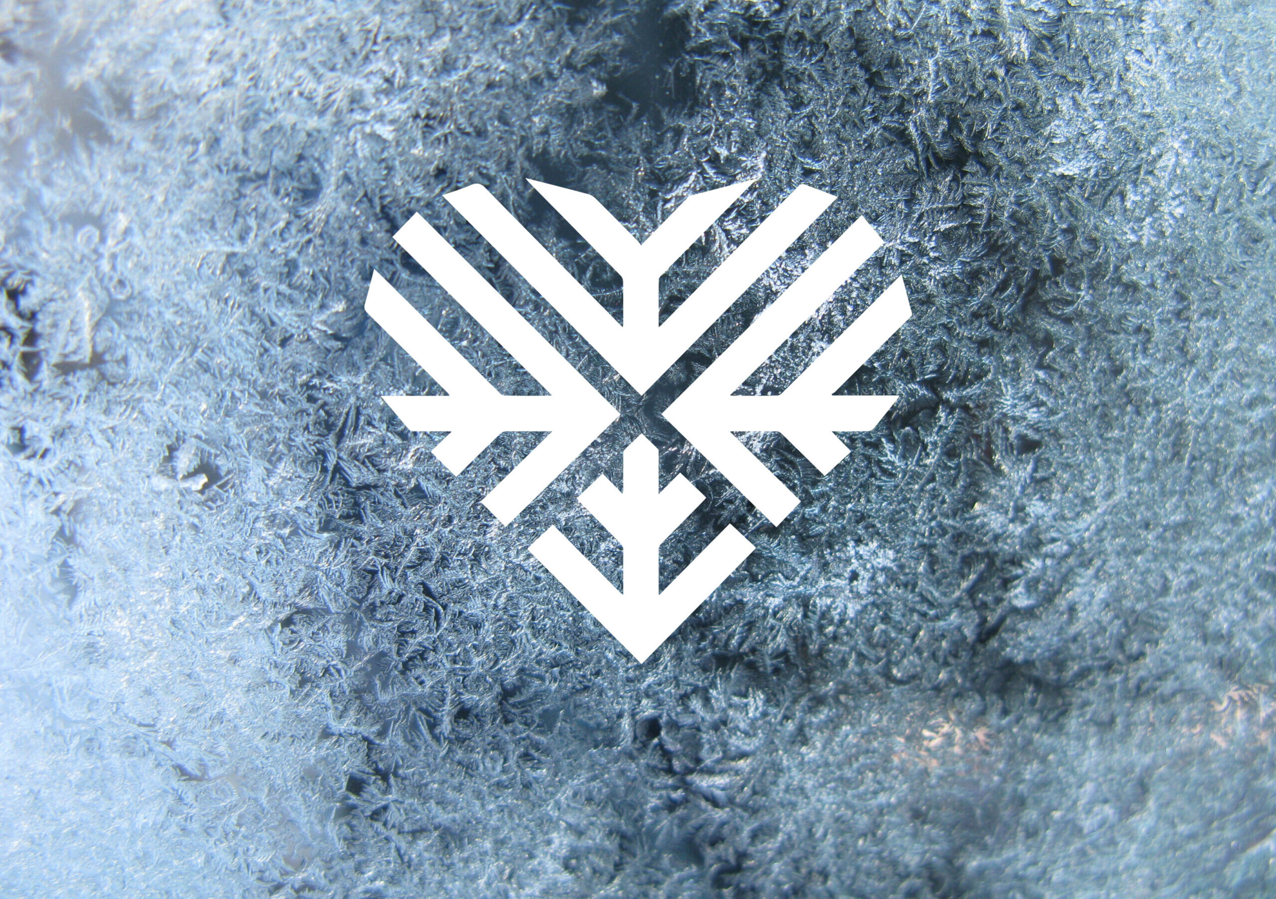 Closeup abstract frosty texture background