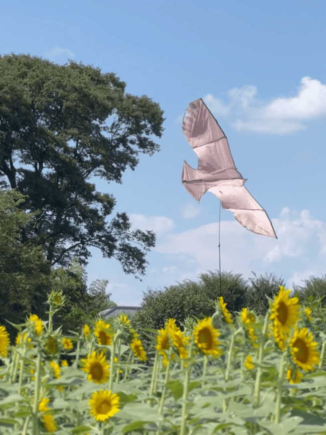 Screenshot 2025-01-07 at 18.02.55