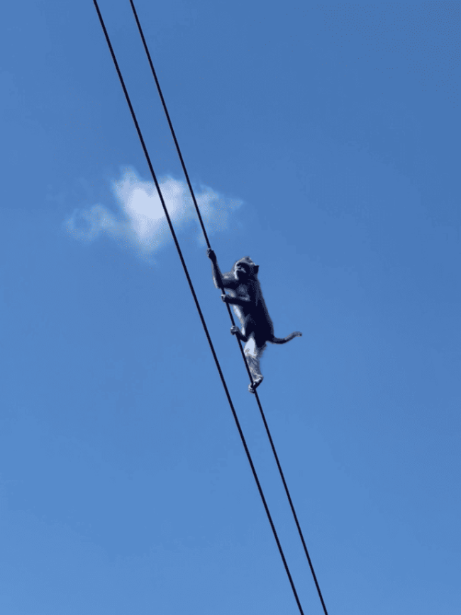 Screenshot 2025-01-07 at 18.03.23