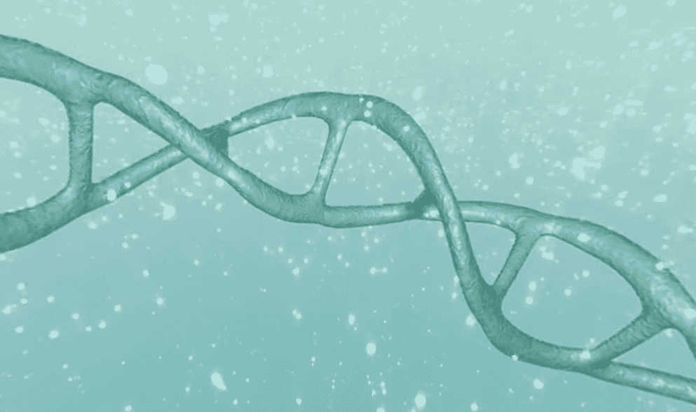 Screenshot 2025-01-07 at 2.23.28